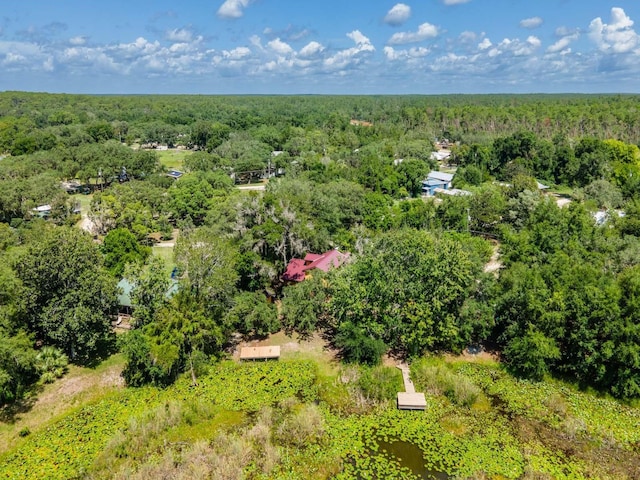 23610 NE 154th Place Rd, Fort Mc Coy, FL 32134 - photo 40
