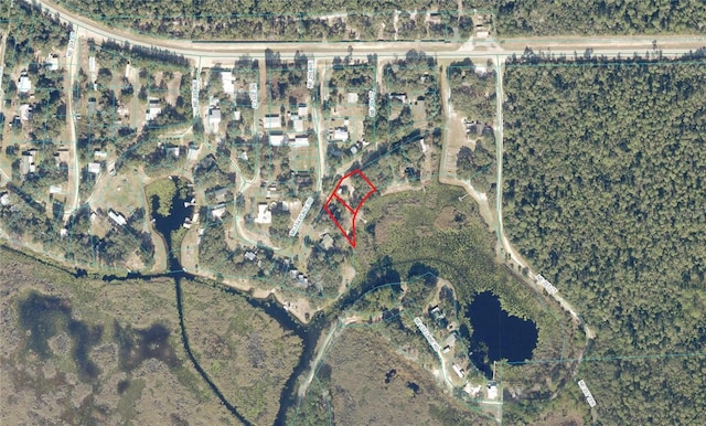23610 NE 154th Place Rd, Fort Mc Coy, FL 32134 - photo 41