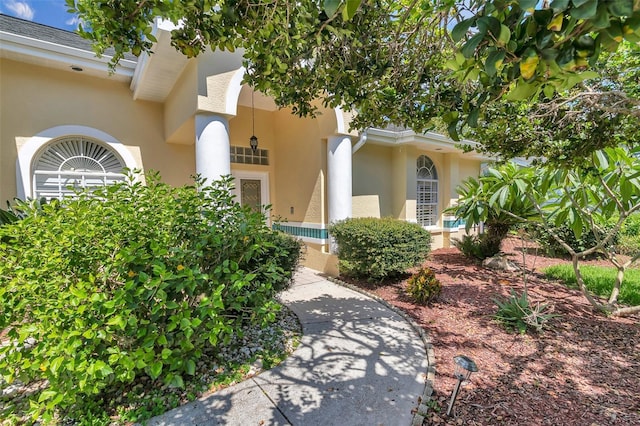 5210 Camberlea Ave, Zephyrhills, FL 33541 - doorway to property with stucco siding