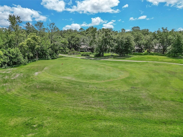 5210 Camberlea Ave, Zephyrhills, FL 33541 - surrounding community featuring view of golf course, a yard, view of scattered trees, and a putting area