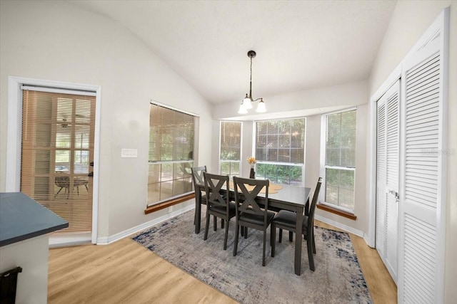 3520 NW 46th Ter, Gainesville, FL 32606 - dining room with a chandelier, light wood finished floors, vaulted ceiling, and healthy amount of natural light