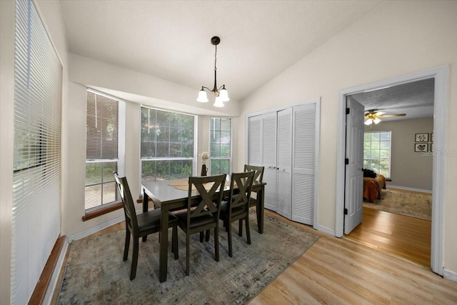 3520 NW 46th Ter, Gainesville, FL 32606 - dining space with light wood-style floors, lofted ceiling, and a chandelier