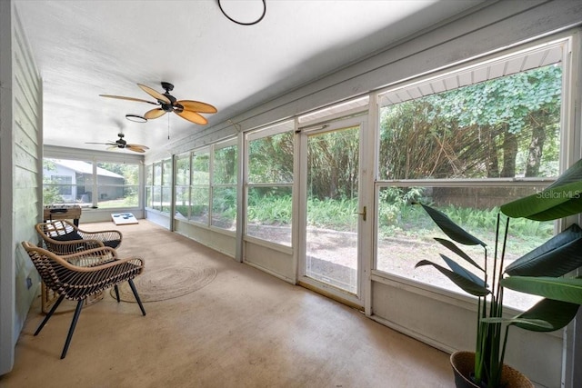 3520 NW 46th Ter, Gainesville, FL 32606 - sunroom featuring a ceiling fan
