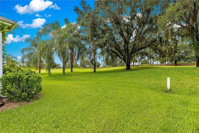 13195 SE 93rd Cir, Summerfield, FL 34491 - photo 8