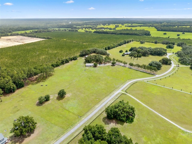 21588 SW 106th Lane Rd, Dunnellon, FL 34431 - photo 3
