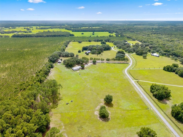 21588 SW 106th Lane Rd, Dunnellon, FL 34431 - photo 68