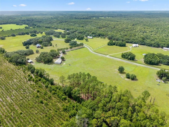 21588 SW 106th Lane Rd, Dunnellon, FL 34431 - photo 69
