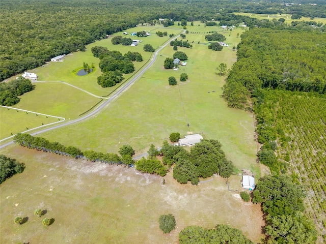 21588 SW 106th Lane Rd, Dunnellon, FL 34431 - photo 72