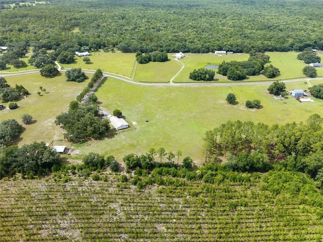 21588 SW 106th Lane Rd, Dunnellon, FL 34431 - photo 73