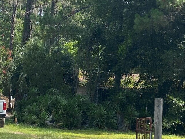 7801 NE 192nd Pl, Citra, FL 32113 - photo 2