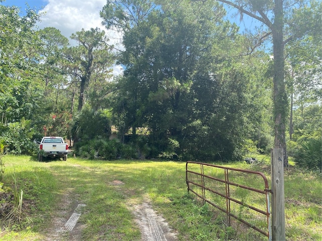7801 NE 192nd Pl, Citra, FL 32113 - photo 5