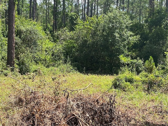 7801 NE 192nd Pl, Citra, FL 32113 - photo 8