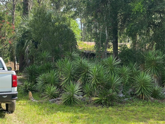 7801 NE 192nd Pl, Citra, FL 32113 - photo 12