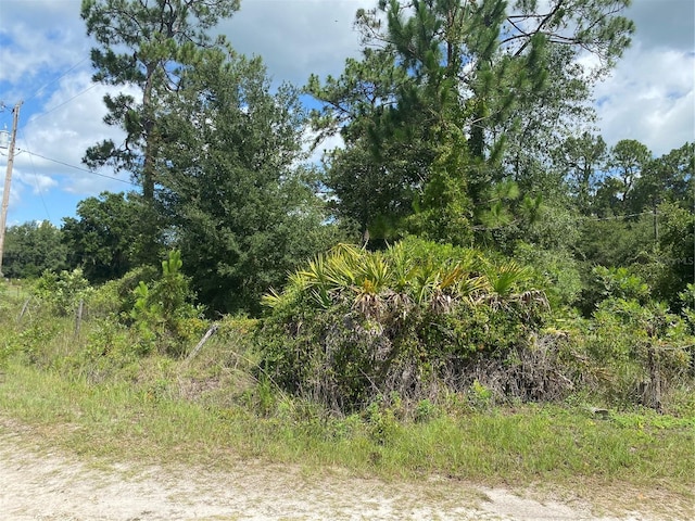 7801 NE 192nd Pl, Citra, FL 32113 - photo 13