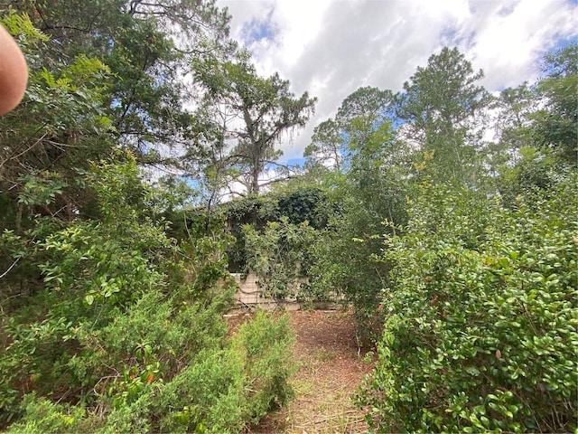 7801 NE 192nd Pl, Citra, FL 32113 - photo 19