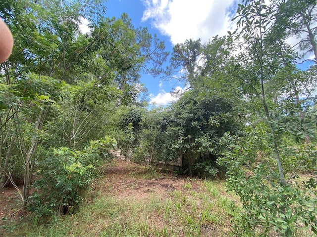 7801 NE 192nd Pl, Citra, FL 32113 - photo 20