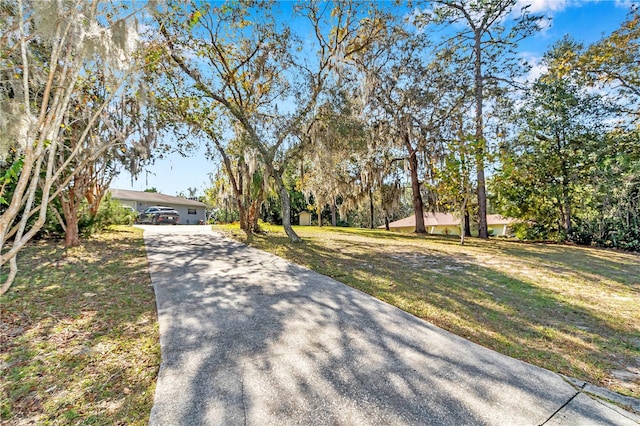 9826 SW 201st Ct, Dunnellon, FL 34431 - photo 8