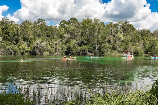 9826 SW 201st Ct, Dunnellon, FL 34431 - photo 92