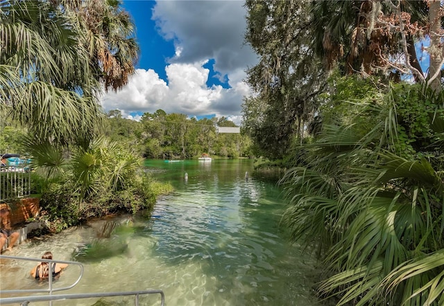 9826 SW 201st Ct, Dunnellon, FL 34431 - photo 93