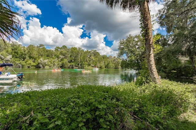 9826 SW 201st Ct, Dunnellon, FL 34431 - photo 95