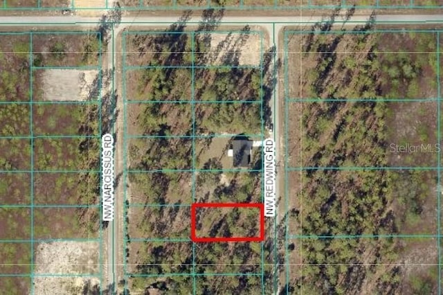 TBD NW Redwing Rd, Dunnellon, FL 34431