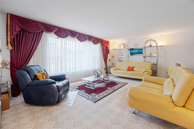 6 Emerald Crse, Ocala, FL 34472 - living area featuring carpet flooring and a textured ceiling