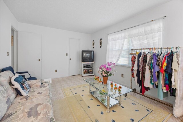 6 Emerald Crse, Ocala, FL 34472 - view of carpeted living area