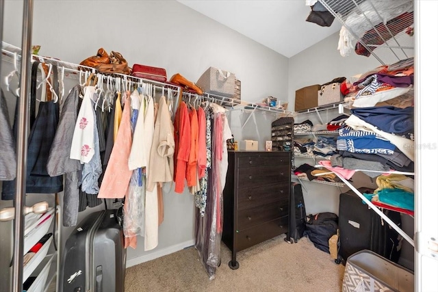 5833 SW 85th Pl, Ocala, FL 34476 - spacious closet with carpet floors