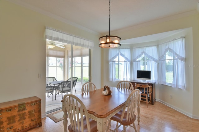 2111 NW 58th Ct, Ocala, FL 34482 - photo 10