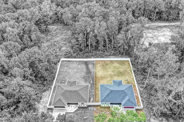12680 SE 42nd Ct, Belleview, FL 34420 - photo 4