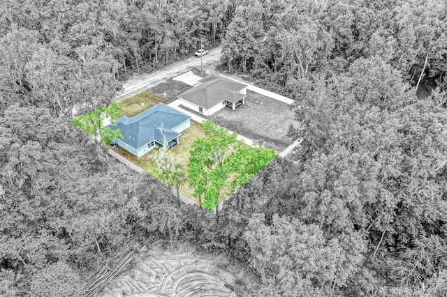 12680 SE 42nd Ct, Belleview, FL 34420 - photo 39