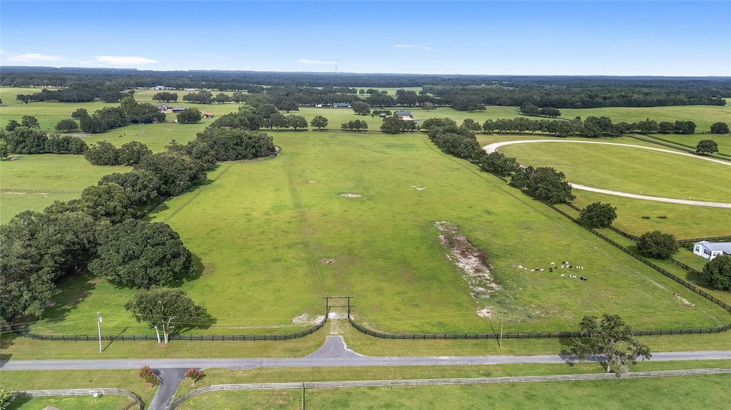 SE 47th Pl, Morriston, FL 32668 - photo 1