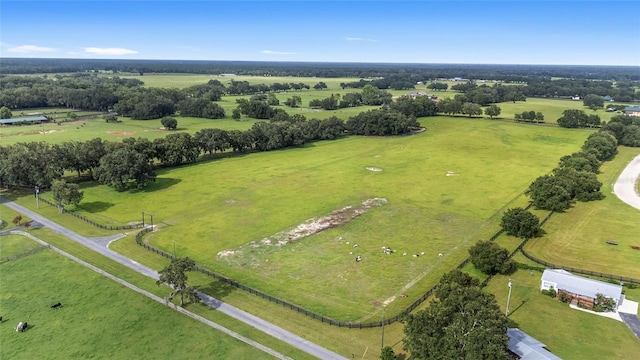 SE 47th Pl, Morriston, FL 32668 - photo 2