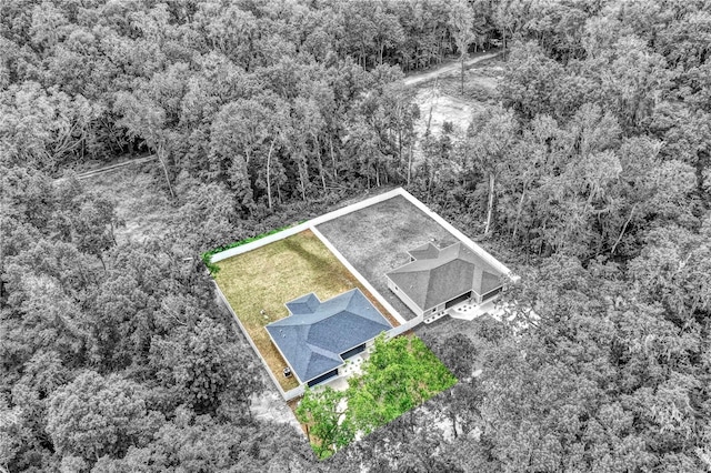 12694 SE 42nd Ct, Belleview, FL 34420 - photo 33