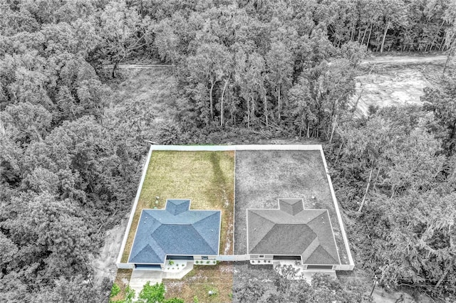 12694 SE 42nd Ct, Belleview, FL 34420 - photo 34