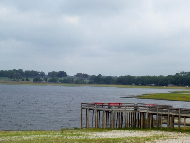21059 SW Raintree St, Dunnellon, FL 34431 - photo 22