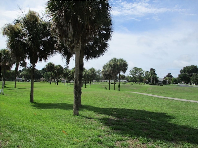 13423 SW 111th Cir, Dunnellon, FL 34432 - photo 2