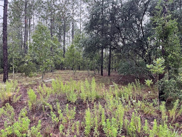 LOT12 SE 136th Ave, Dunnellon, FL 34431