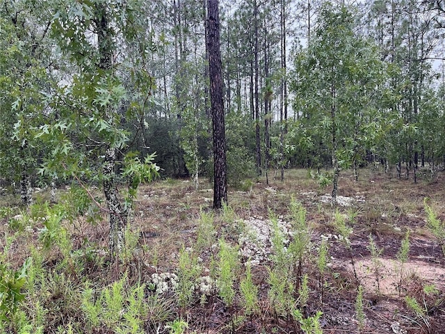 LOT12 SE 136th Ave, Dunnellon, FL 34431