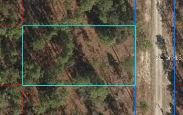 LOT12 SE 136th Ave, Dunnellon, FL 34431