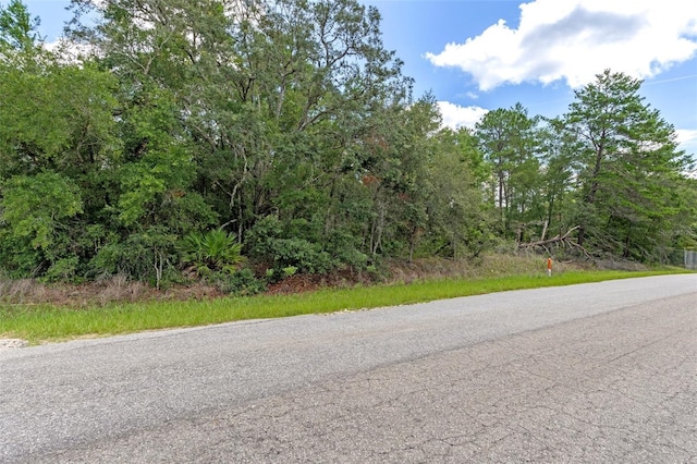 710 E Overdrive Cir, Hernando, FL 34442