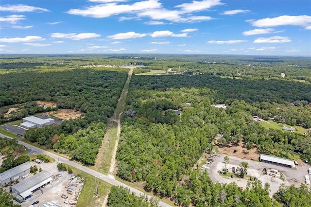 710 E Overdrive Cir, Hernando, FL 34442