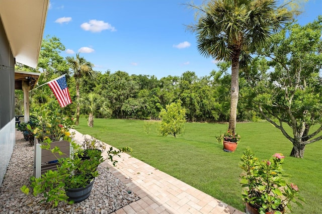 5233 Fountain Walk, Lady Lake, FL 32159 - view of green lawn