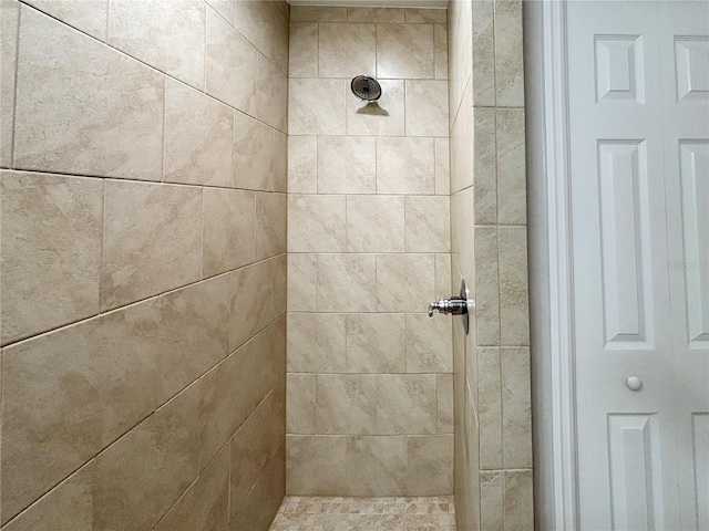 6431 SW 145th Lane Rd, Ocala, FL 34473 - bathroom featuring tiled shower