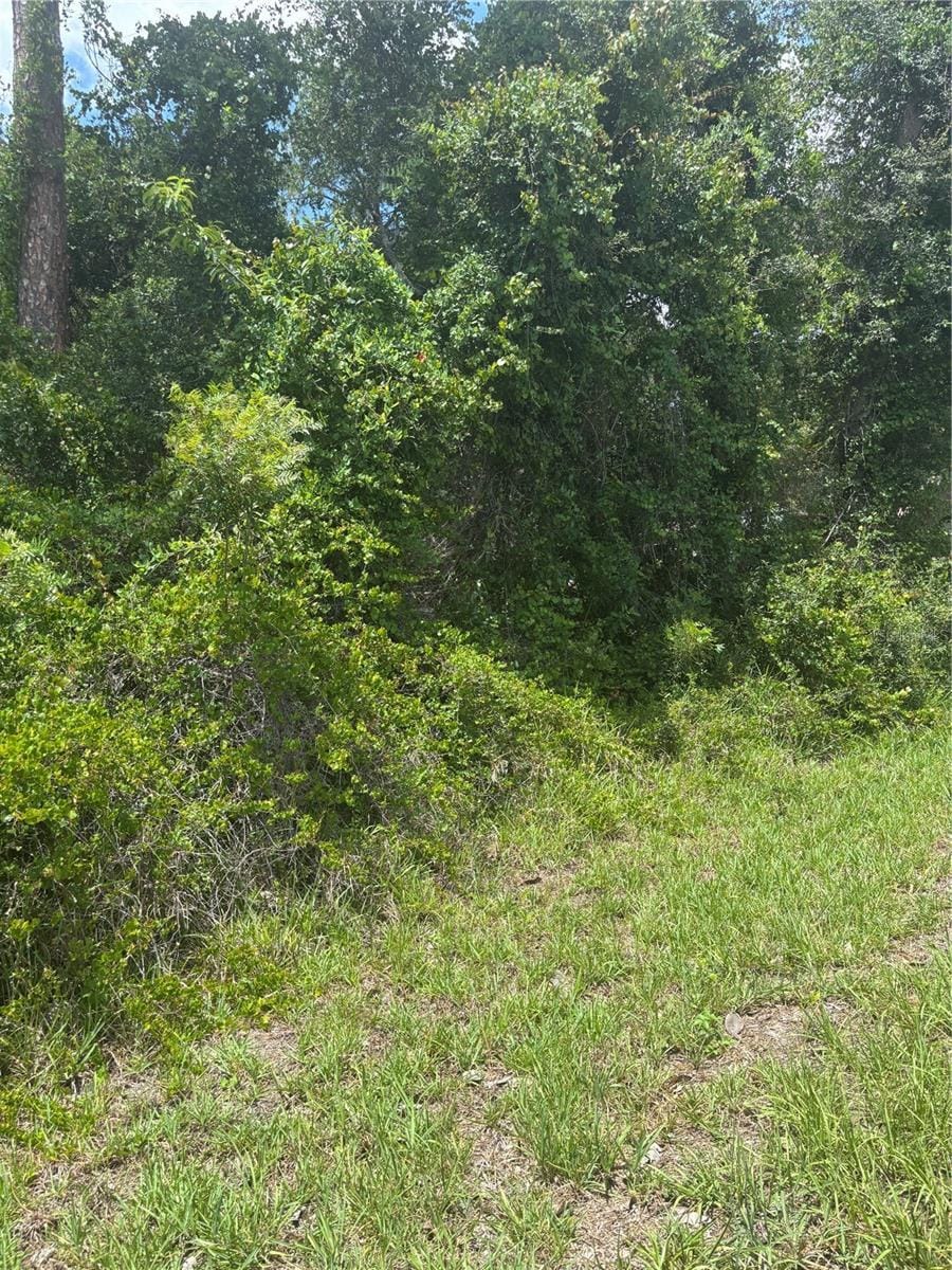 00 SE 186th Ct, Ocklawaha, FL 32179 - photo 1