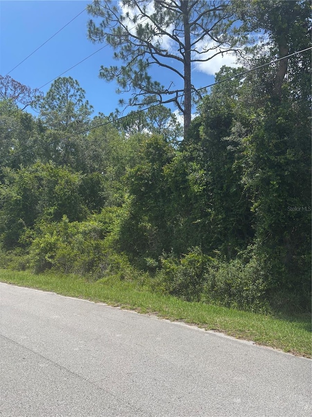 00 SE 186th Ct, Ocklawaha, FL 32179 - photo 2