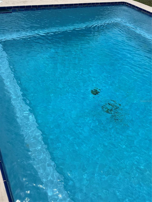 5561 NE 5th Pl, Ocala, FL 34470 - view of swimming pool