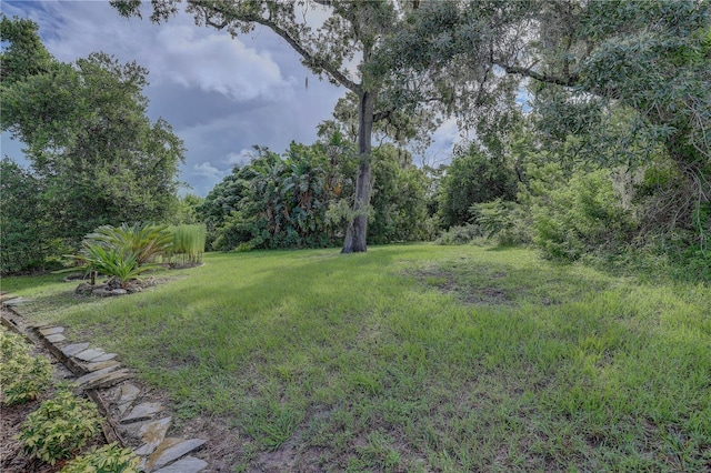 13006 Pebble Beach Cir, Hudson, FL 34667 - view of yard
