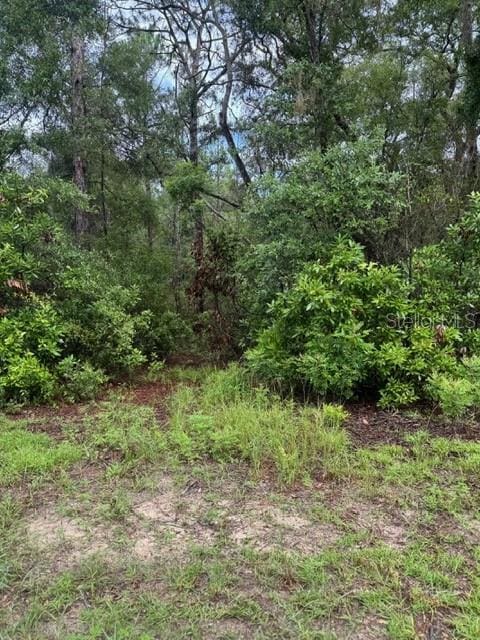 TBD NW 97th Ct, Chiefland, FL 32626 - photo 2