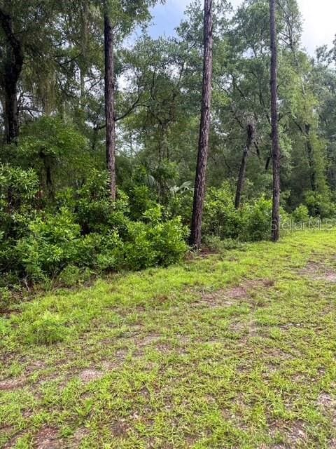 TBD NW 97th Ct, Chiefland, FL 32626 - photo 4